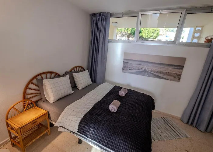 Tenerife Lizards - Apartment In The First Line
