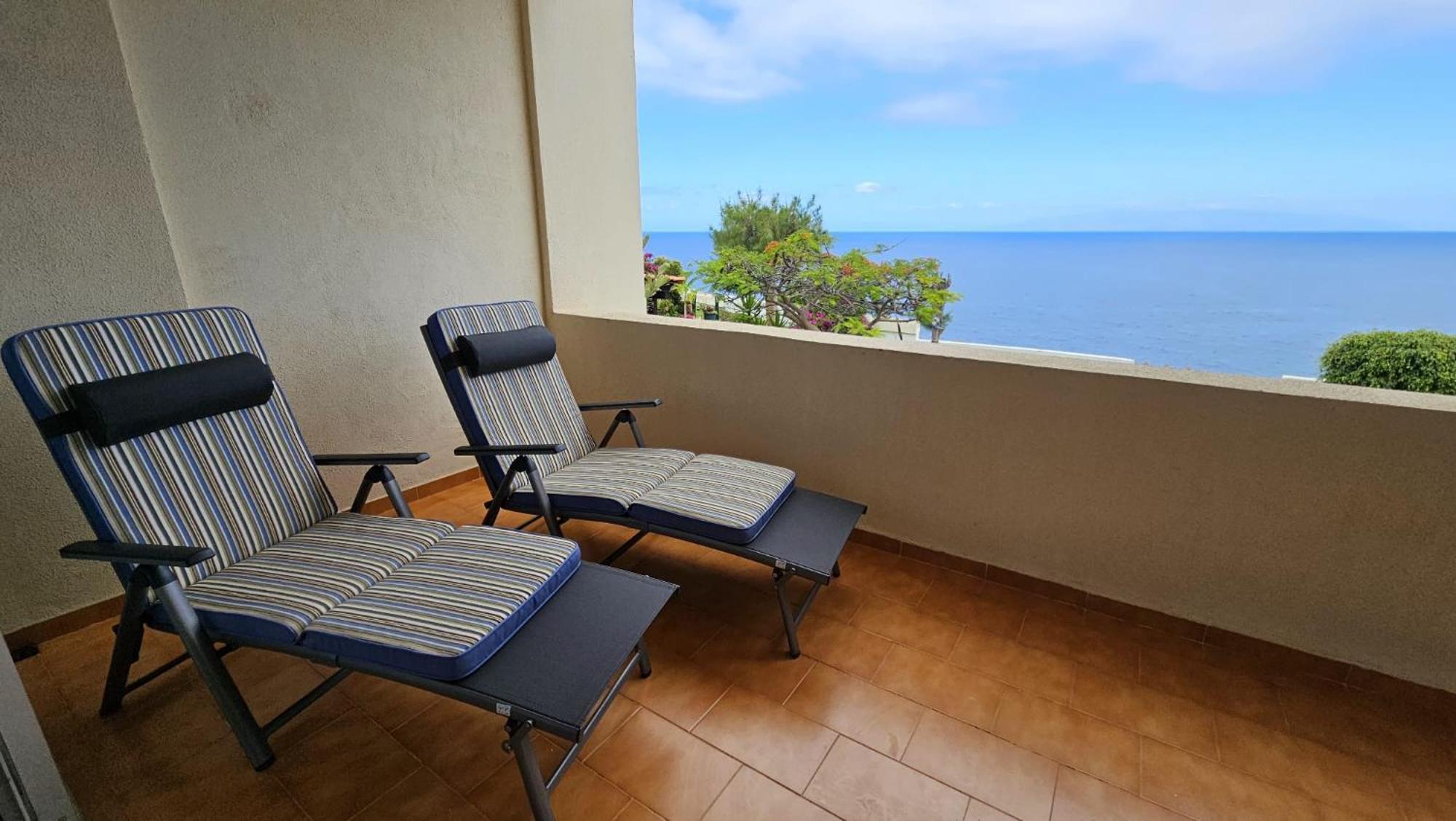 Tenerife Lizards - In The First Line Apartment